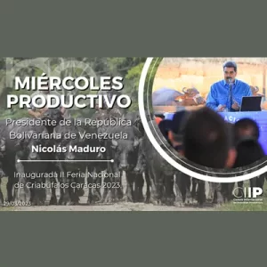 Miércoles Productivos- Venezuela lidera la cría de ganado bufalino en el continente